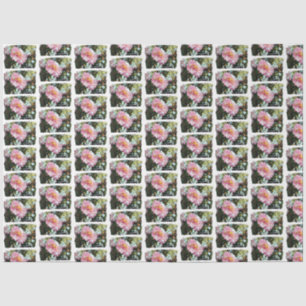 Daisy in Pink Tissue Paper
