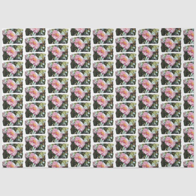 Daisy in Pink Tissue Paper (Front)
