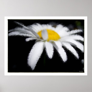 Daisy in the Dark Poster