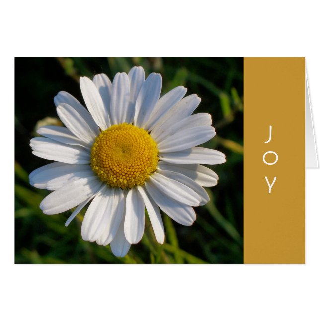 DAISY JOY card (Front Horizontal)