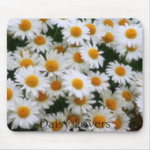 Daisy Lovers