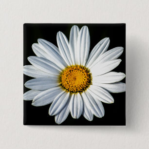 Daisy Mae Button