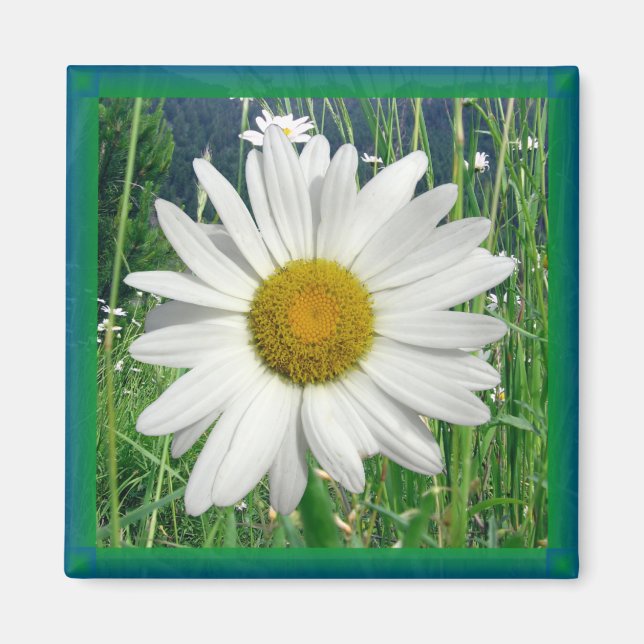 Daisy Magnet (Front)