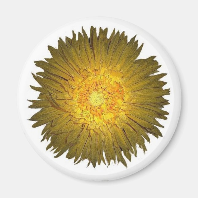 Daisy Magnet (Front)