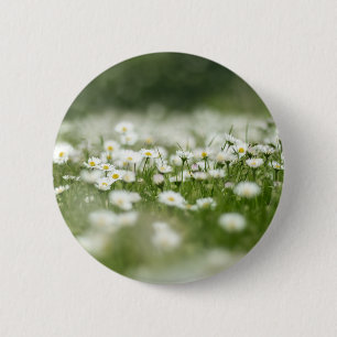 Daisy Meadow 6 Cm Round Badge