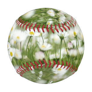 Daisy Meadow Baseball