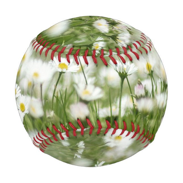 Daisy Meadow Baseball (Front)