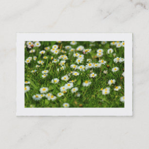 Daisy Meadow (Bordered) Business Card