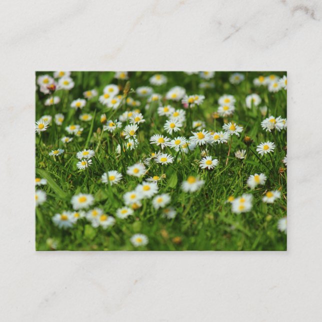 Daisy Meadow Business Card (Front)
