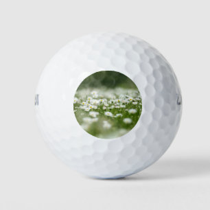 Daisy Meadow Golf Balls