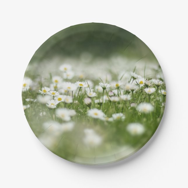 Daisy Meadow Paper Plate (Front)