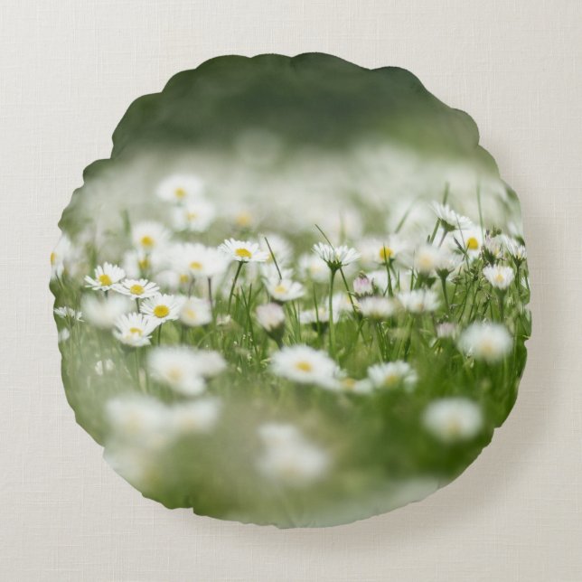 Daisy Meadow Round Cushion (Front)