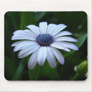Daisy Mousepad