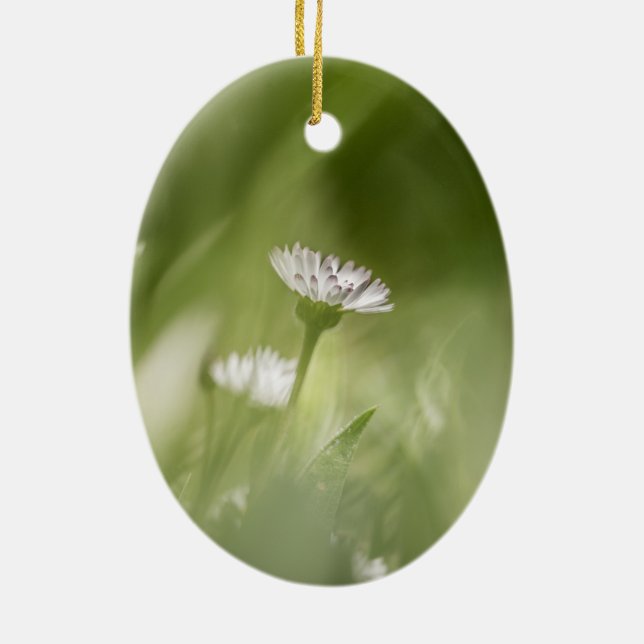 Daisy nature photo ceramic tree decoration (Back)
