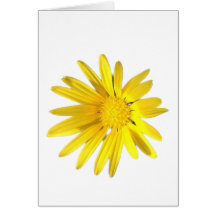 Daisy Note - Blank for your personalisation