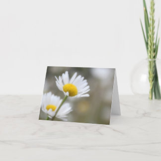 Daisy Note Card