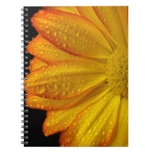 Daisy Notebook