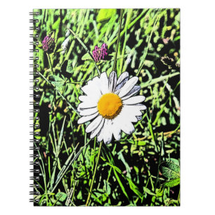 Daisy Notebook
