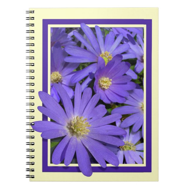 Daisy Notebook Personalised Daisy Flower Journal (Front)