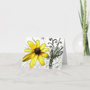 Daisy on a Hot Summer Day - Note Card