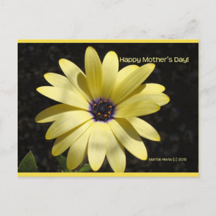 Daisy On Mother's Day Blue Beach Song™ Postcard