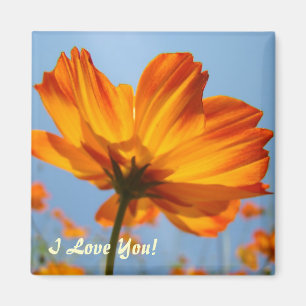 Daisy Orange Daisy Flowers magnet I Love You!