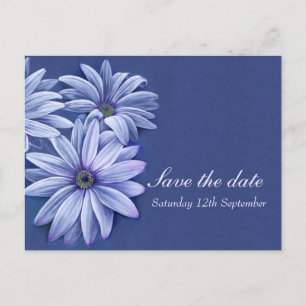 Daisy osteospermum wedding save the date card