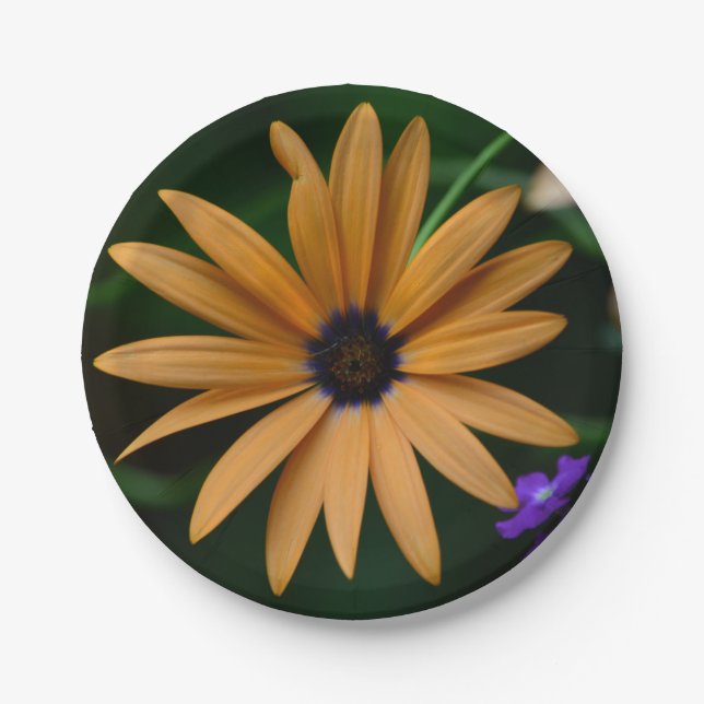 Daisy Paper Plate (Front)