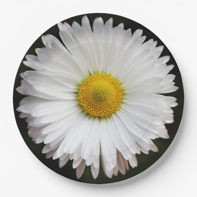 Daisy Paper Plate (Front)