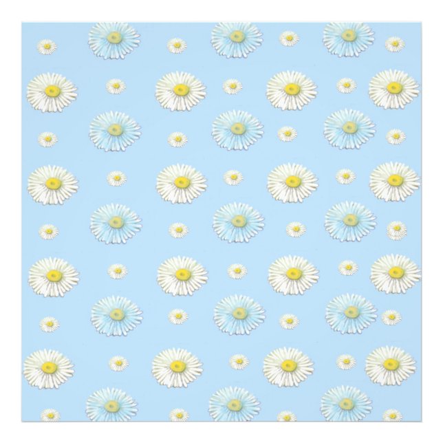 Daisy Pattern on light blue background   Photo Print (Front)
