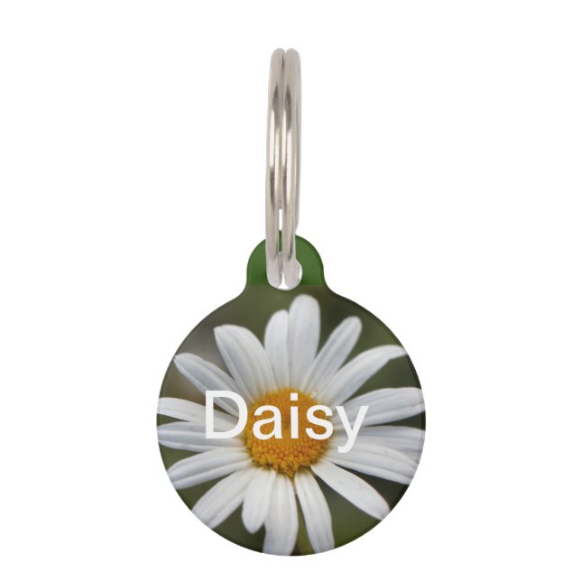 Daisy Pet Tag (Front)