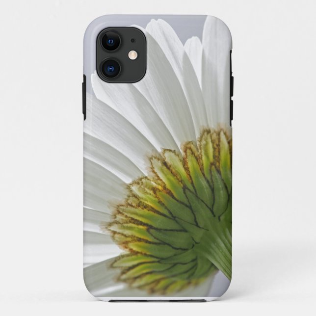 Daisy Picture iPhone 5 Case (Back)