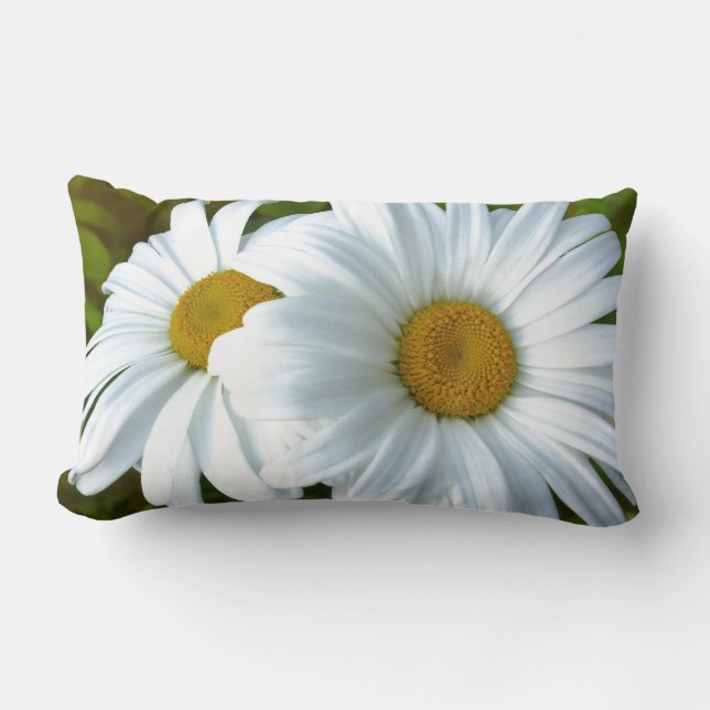 Daisy Pillows Blue Daisies Pillows Flower Decor (Front)