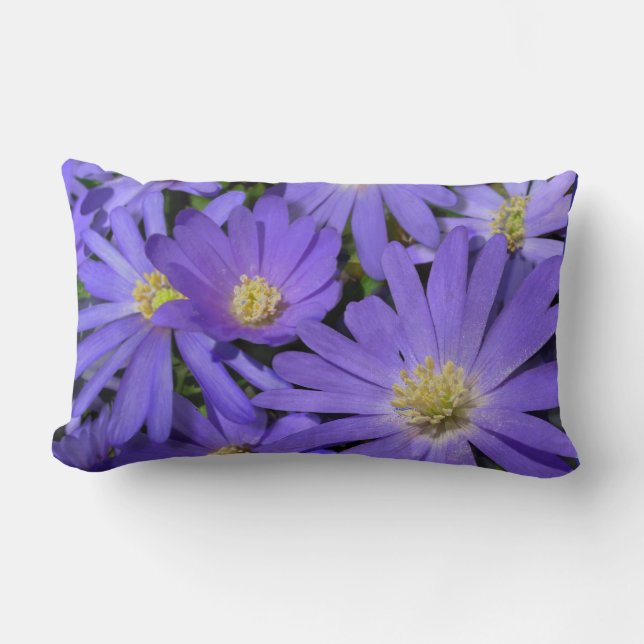 Daisy Pillows Blue Daisies Pillows Flower Decor (Front)