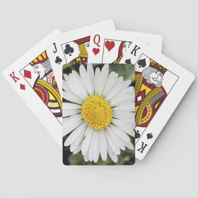 Daisy Playing Cards (Back)