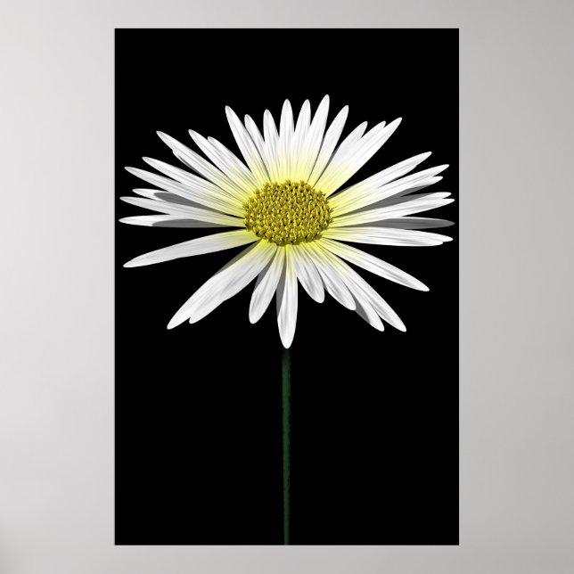 Daisy Poster (Front)