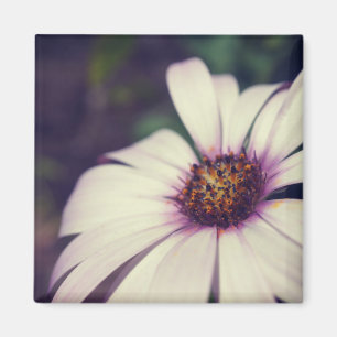 Daisy print. magnet