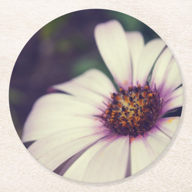 Daisy print. round paper coaster (Front)