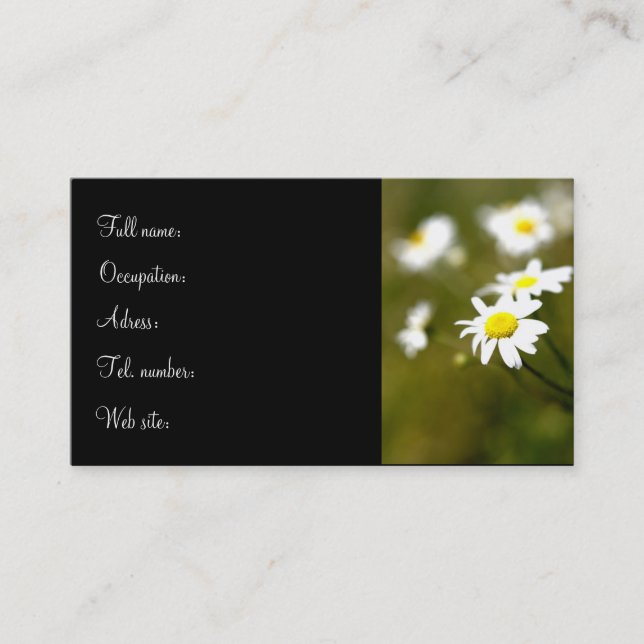 Daisy Profile Card (Front)
