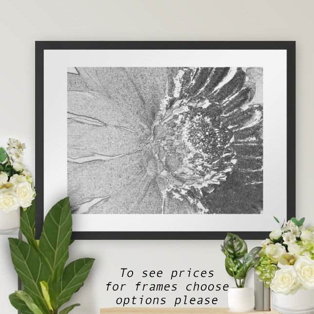 Daisy Shades of Grey Floral  Poster (Creator Uploaded)