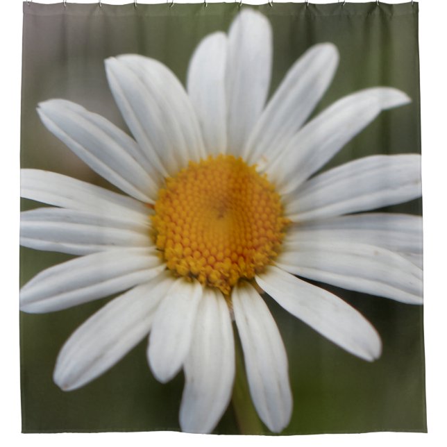 Daisy   shower curtain (Front)