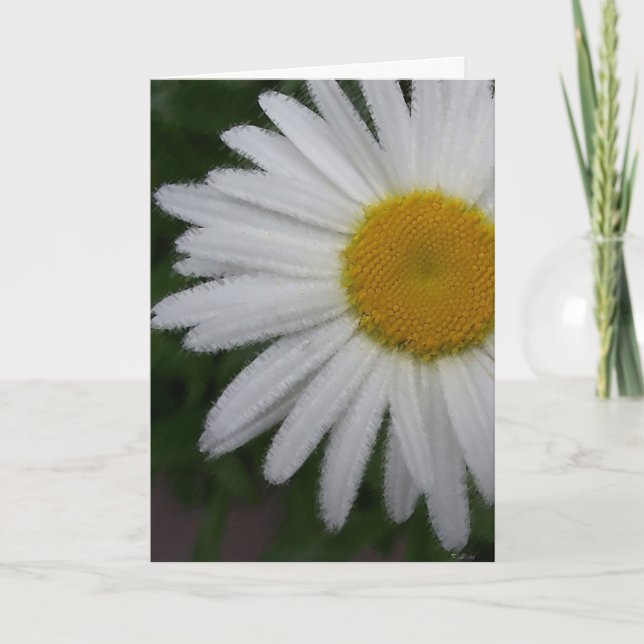 Daisy (soft sketch) Card (Front)