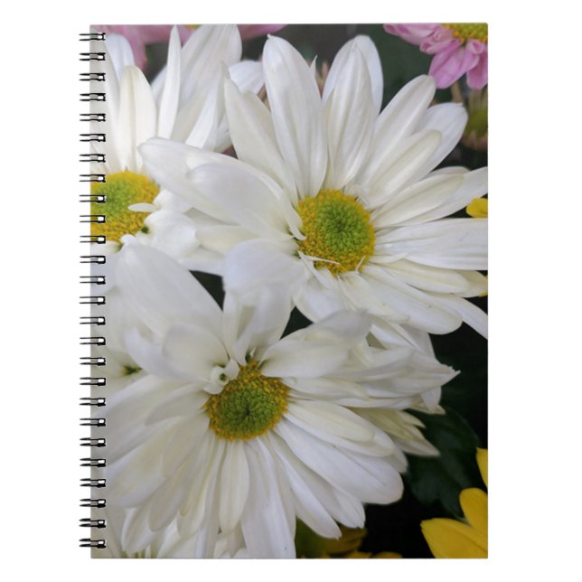 Daisy Spiral Notebook (Front)