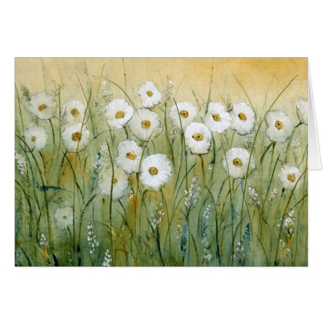 Daisy Spring I (Front Horizontal)