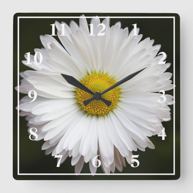Daisy Square Wall Clock (Front)