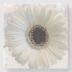 Daisy Stone Coaster