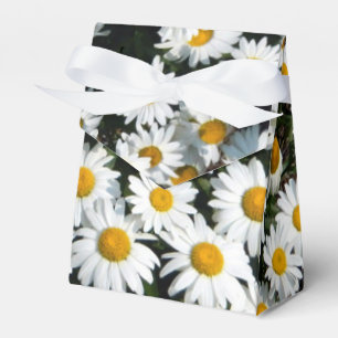 Daisy Sunshine Favour Box