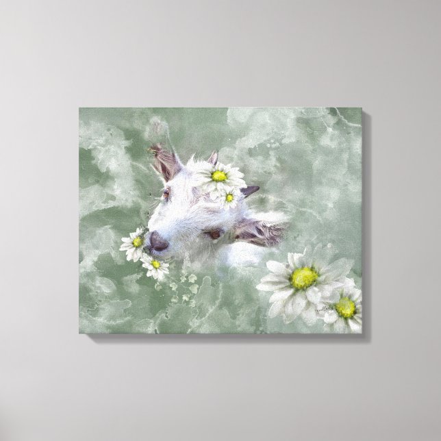 Daisy the Baby Goat Watercolor Portrait Canvas Print (Front)