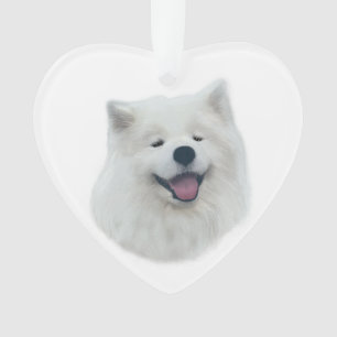 Daisy the samoyed ornament