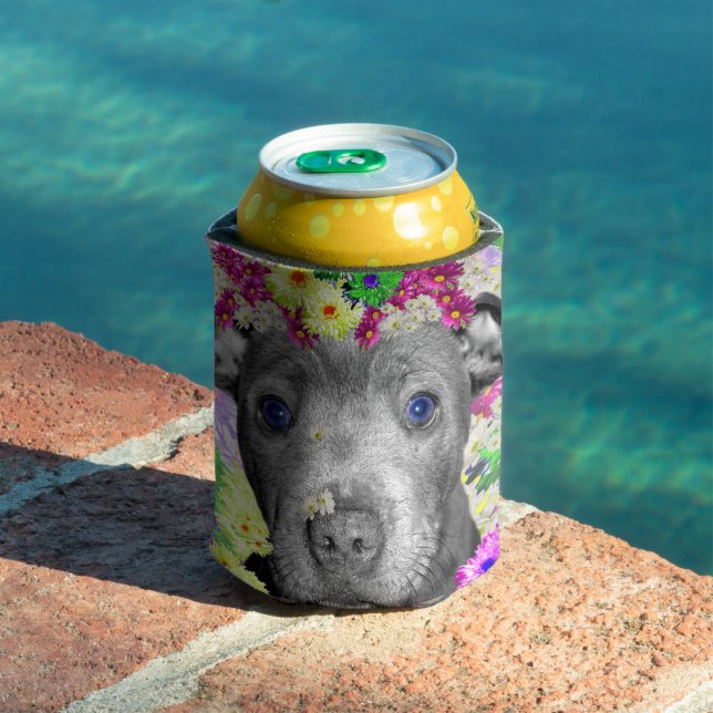 Daisy The Staffordshire Bull Terrier Puppy,  Can Cooler (In Situ Pool)